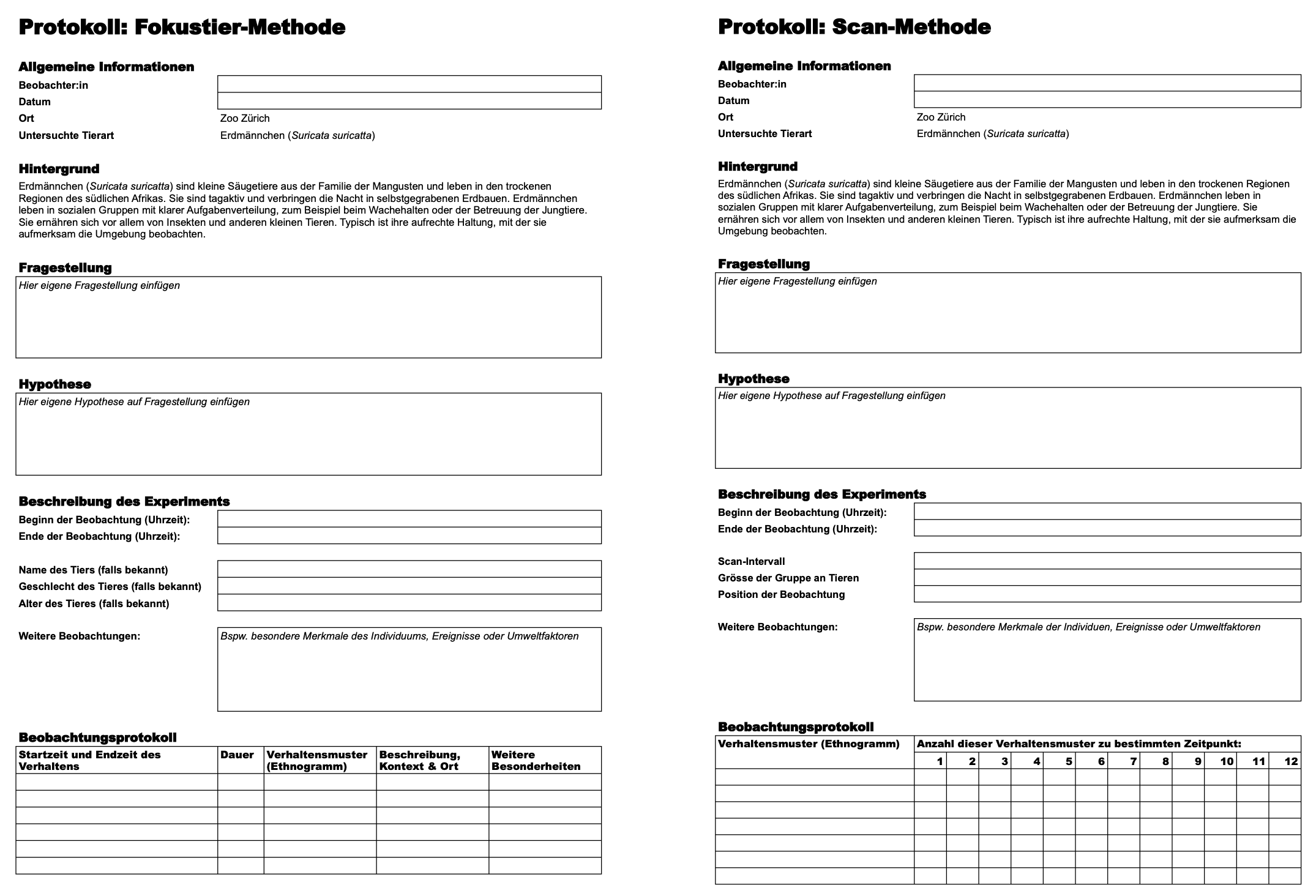 Übersicht über die Protokolle der Fokustier- und der Scan-Methode.